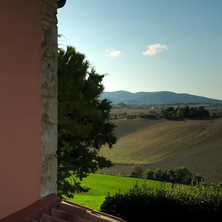 Fossederi Pieve di Santa Luce
