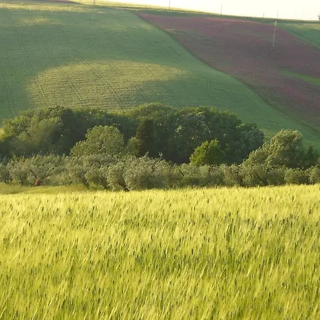 Fossederi * Pieve di Santa Luce